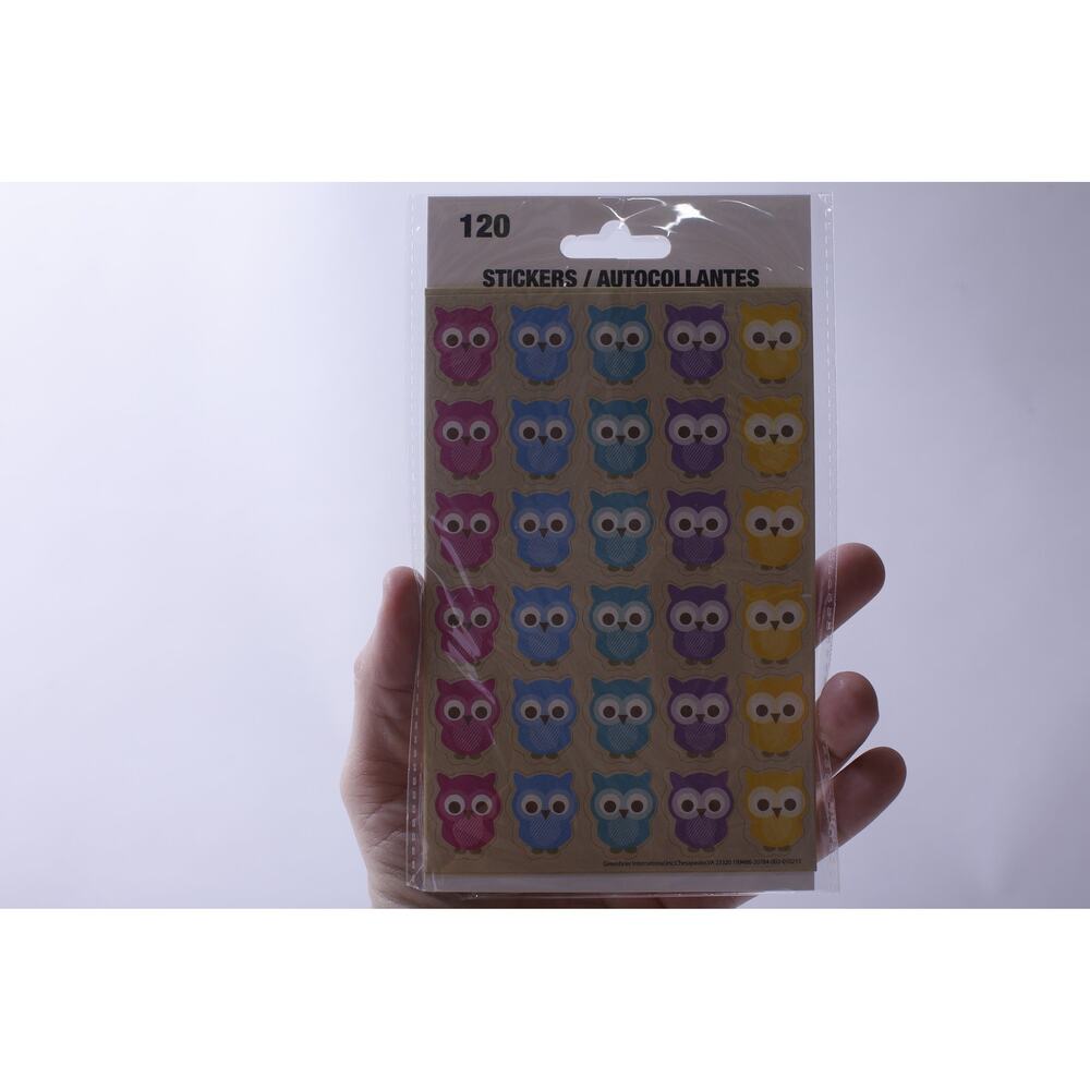 Colorful Owls, Sticker Sheet, Cute, Adorable, Birds, 120 pc, Greenbrier Int